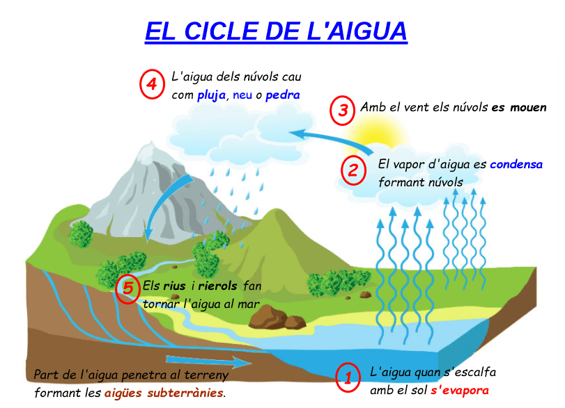 CICLE AIGUA